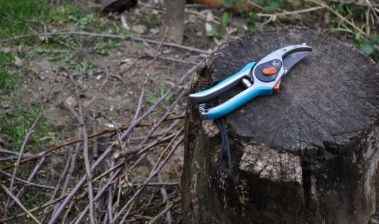 Keep pruning shears close to your body