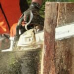 Chainsaw Safety Tips