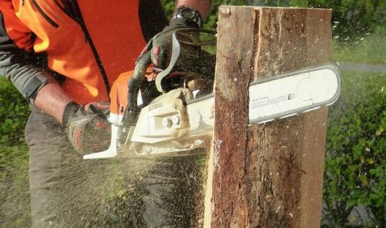 Chainsaw Safety Tips